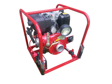 Portable Pumps & Skid Units